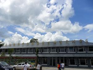 西雙版納望天樹國家公園