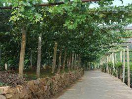 鮑子溝村 鮑子溝村