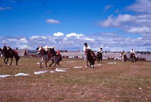 那曲賽馬會 那曲賽馬會