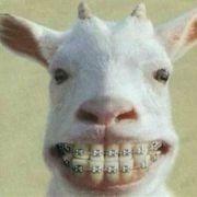 自古SB出二樓 自古SB出二樓