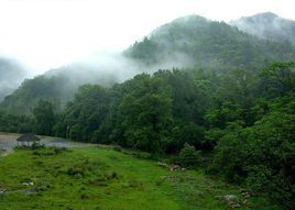 車八嶺自然保護區 車八嶺自然保護區