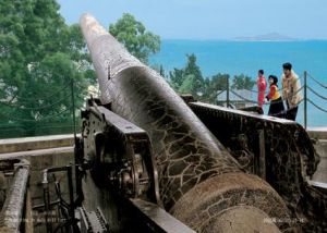 胡里炮王 胡里炮王