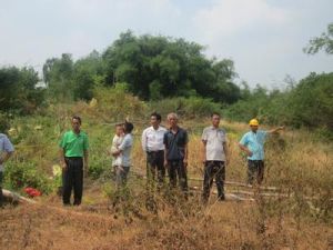 非法買賣土地 非法買賣土地