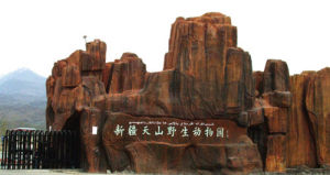 天山野生動物園 天山野生動物園