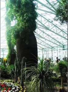 南京植物博覽園 南京植物博覽園