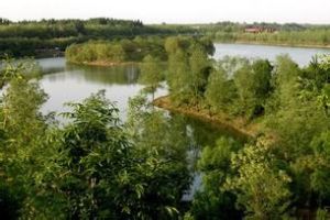 出遊紅壇寺公園 出遊紅壇寺公園