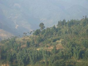 期垤下寨村 期垤下寨村