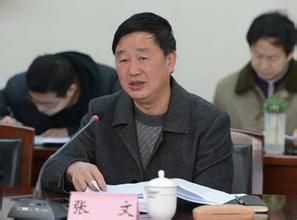 張文[前重慶市環境保護局巡視員]