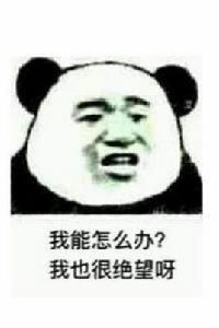 我能怎么辦啊我也很絕望啊
