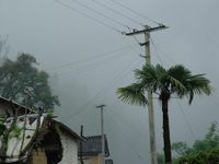 山新自然村 山新自然村