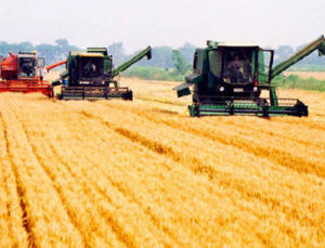 農業經濟管理專業 農業經濟管理專業