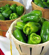 null[茄科植物名]