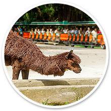 長隆野生動物世界