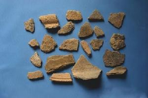 禮樂圍遺址 禮樂圍遺址