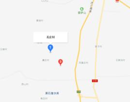 孔莊村[山東平陰縣孝直鎮下轄村]