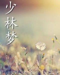 少林夢 少林夢