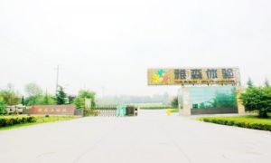 雅森體驗教育中心 雅森體驗教育中心