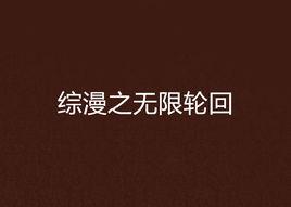 綜漫之無限輪迴[綜漫的星空所著小說]