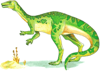 特提斯海的古生物