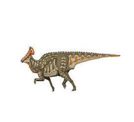 扇冠大天鵝龍 扇冠大天鵝龍