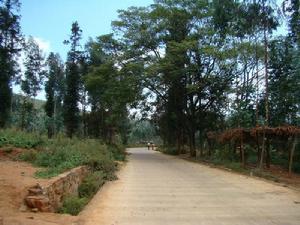 核桃園自然村[雲南紅河州石屏縣龍朋鎮下轄村]