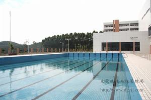 東莞市游泳運動管理中心 東莞市游泳運動管理中心