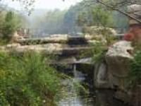 千佛山國家森林公園 千佛山國家森林公園