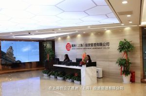 厘洲(上海)投資管理有限公司 厘洲(上海)投資管理有限公司