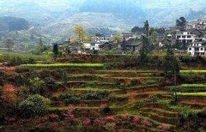 布依村寨 布依村寨