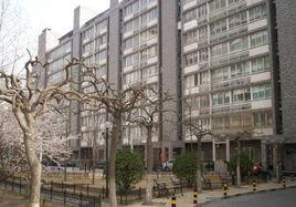 美麗願景 美麗願景