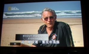 德國之聲電視台 德國之聲電視台