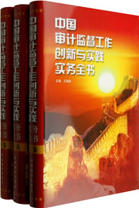 審計監督 審計監督