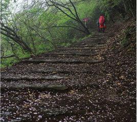 祁門大洪嶺古道 祁門大洪嶺古道