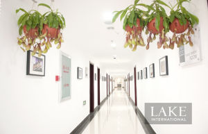 合肥蘭克形象設計學校