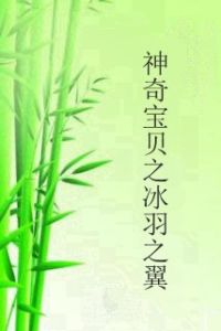 神奇寶貝之冰羽之翼 神奇寶貝之冰羽之翼