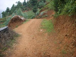 楚雄市樹苴鄉九街村委會箐中村進村道路