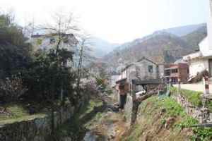 駱家灣村 駱家灣村