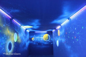 盛幻泰迪熊夜光3D藝術館 盛幻泰迪熊夜光3D藝術館