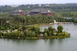 濰坊白浪綠洲濕地公園 濰坊白浪綠洲濕地公園