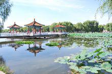 朝陽區[吉林省長春市朝陽區]