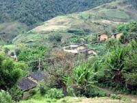 大窩鋪村 大窩鋪村