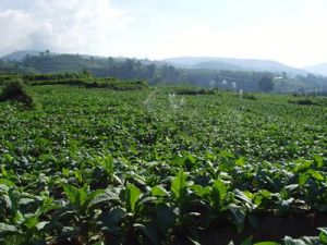 北古城鎮 北古城鎮