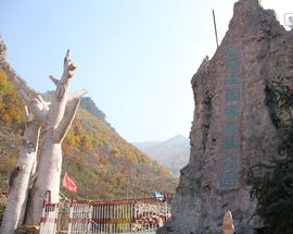 白草窪國家森林公園 白草窪國家森林公園