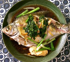 清蒸槎頭鯿 清蒸槎頭鯿