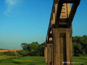 楊梅村_田園風光