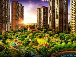 海洋半島 海洋半島