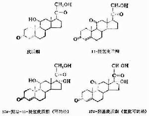 假性醛固酮減少症