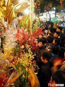 廣州迎春花市 廣州迎春花市