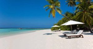 馬爾地夫蕉葉島