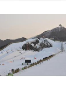 南山滑雪場 南山滑雪場